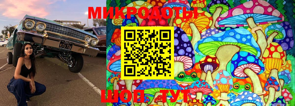 Псилоцибиновые грибы мухоморы Острогожск