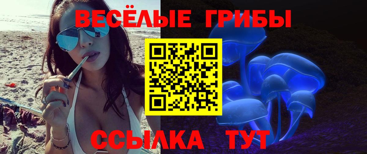 продажа наркотиков  Псилоцибиновые грибы GOLDEN TEACHER  Вход с VPN  Острогожск 